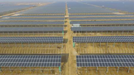 武城县全国单体规模最大的农光互补扶贫项目,将发展以蔬果和花卉为主的休闲绿色农业(董天力 摄影)。