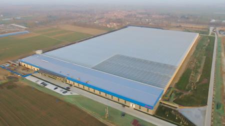 临邑超级智慧大棚外景(董天力 摄影)。